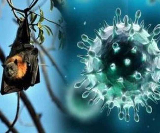 कोरोना संक्रमण से जूझ रहे केरल में अब निपाह वायरस ने दस्तक दी है।