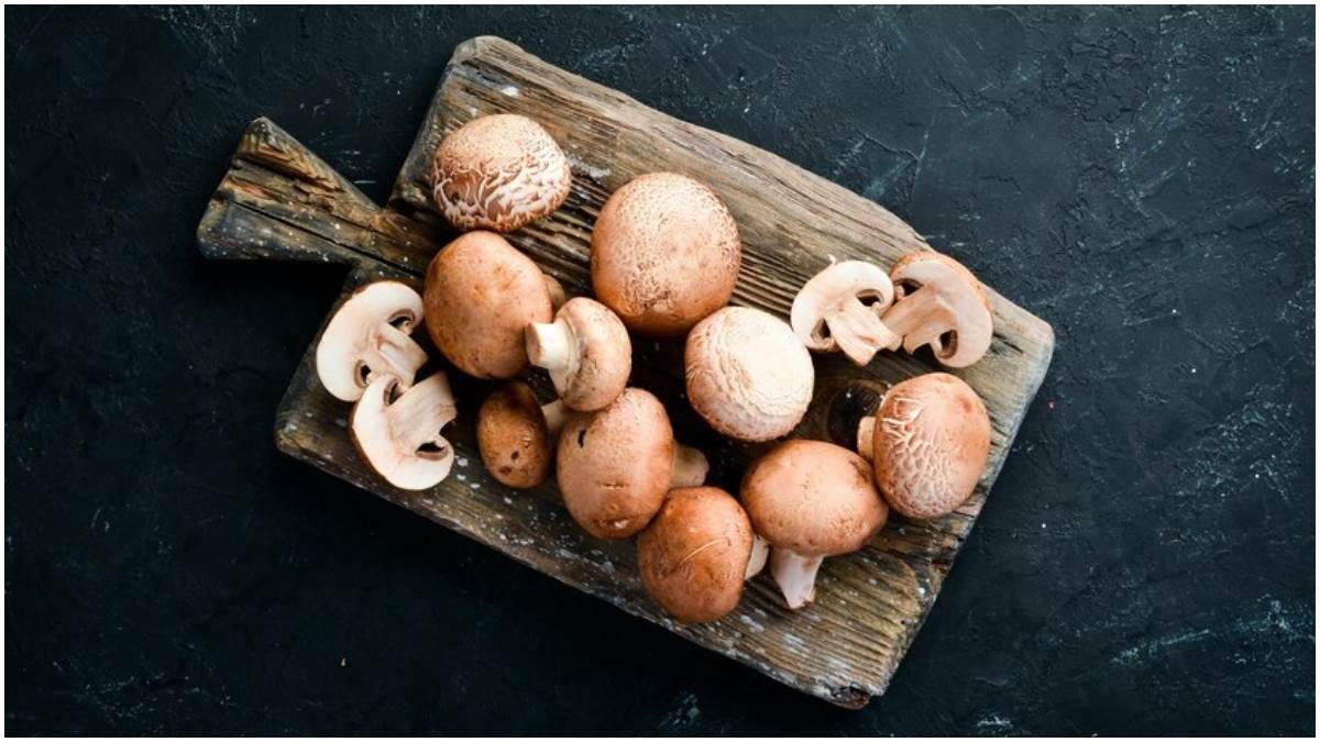 side effects of eating mushrooms from cancer in pregnant women to hallucinations