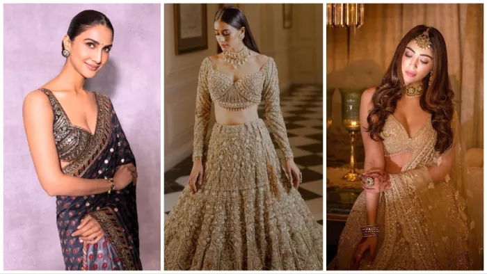 Blouse Designs: लहंगे और साड़ी के लिए ट्रेंडी ब्लाउज़ डिज़ाइन्स