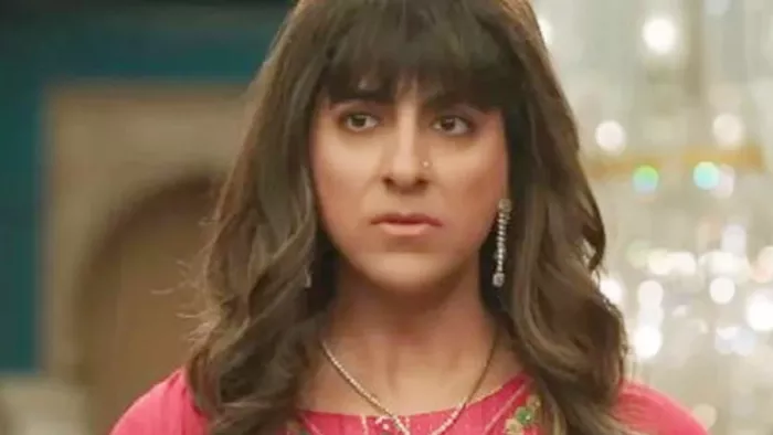 Dream Girl 2 Box Office 11th Day Collection । Photo- Instagram