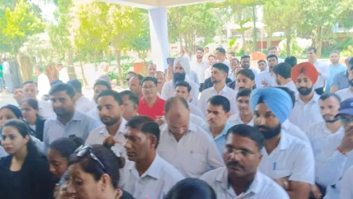 रजिस्ट्री फर्जीवाड़े मामला ने पकड़ा तूल, कार्रवाई के विरोध में उतरे अधिवक्ता