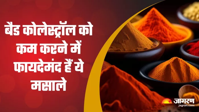 Spice Reduces Bad Cholesterol: इन मसालों से घटाएं बैड कोलेस्ट्रॉल
