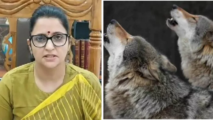 भेड़िए से बचाव के लिए प्रशासन के विशेष इंतजाम