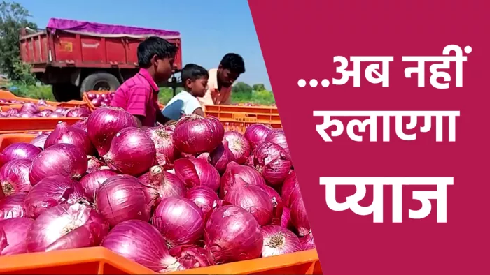 महाराष्ट्र एवं मध्य प्रदेश के किसानों से प्याज खरीद रही सरकार