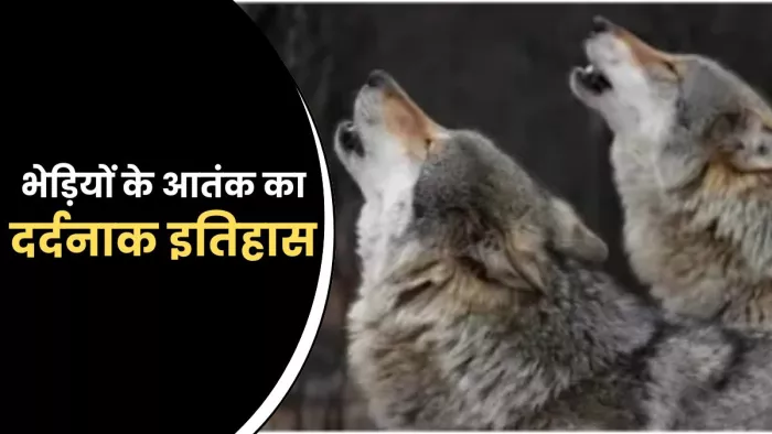 यूपी में भेड़ियों के आतंक का दर्दनाक इतिहास