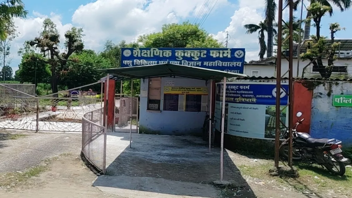 बर्ड फ्लू के प्रकोप को देख पंतनगर विवि का कुक्कुट फार्म बंद, अंदर आने जाने पर भी बैन