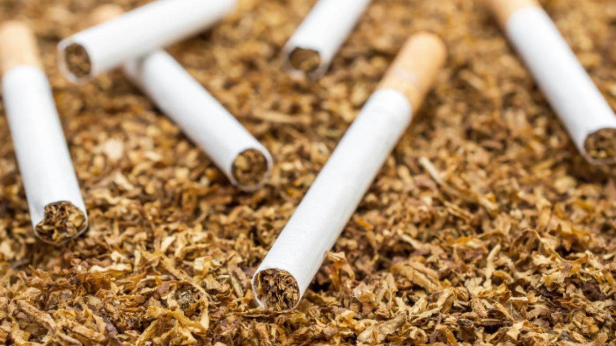 https://www.jagranimages.com/images/newimg/05092025/05_09_2025-_tobacco_products_24036220.jpg