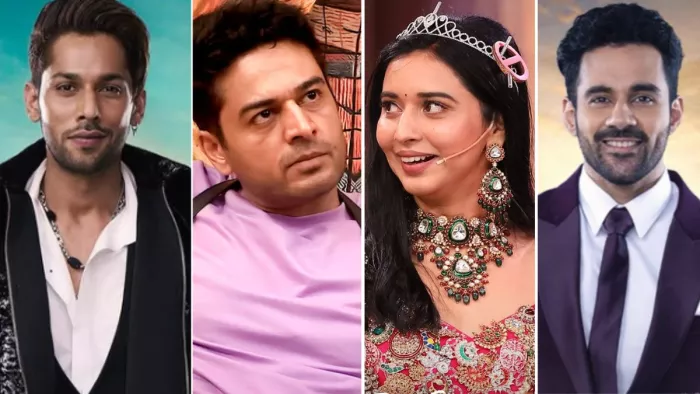 बिग बॉस 19 के दूसरे हफ्ते में ये सदस्य बना कैप्टन/ फोटो- Instagram