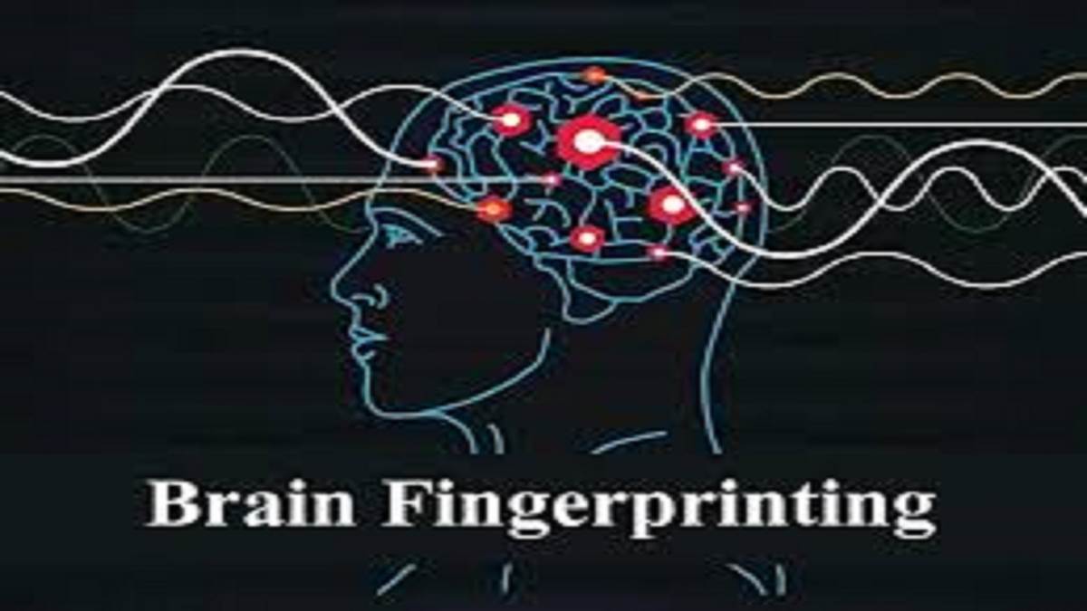 https://www.jagranimages.com/images/newimg/05092025/05_09_2025-brain1_24036985.jpg