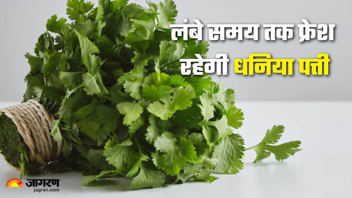 https://www.jagranimages.com/images/newimg/05092025/05_09_2025-coriander_leaves_storage_24036893.jpg