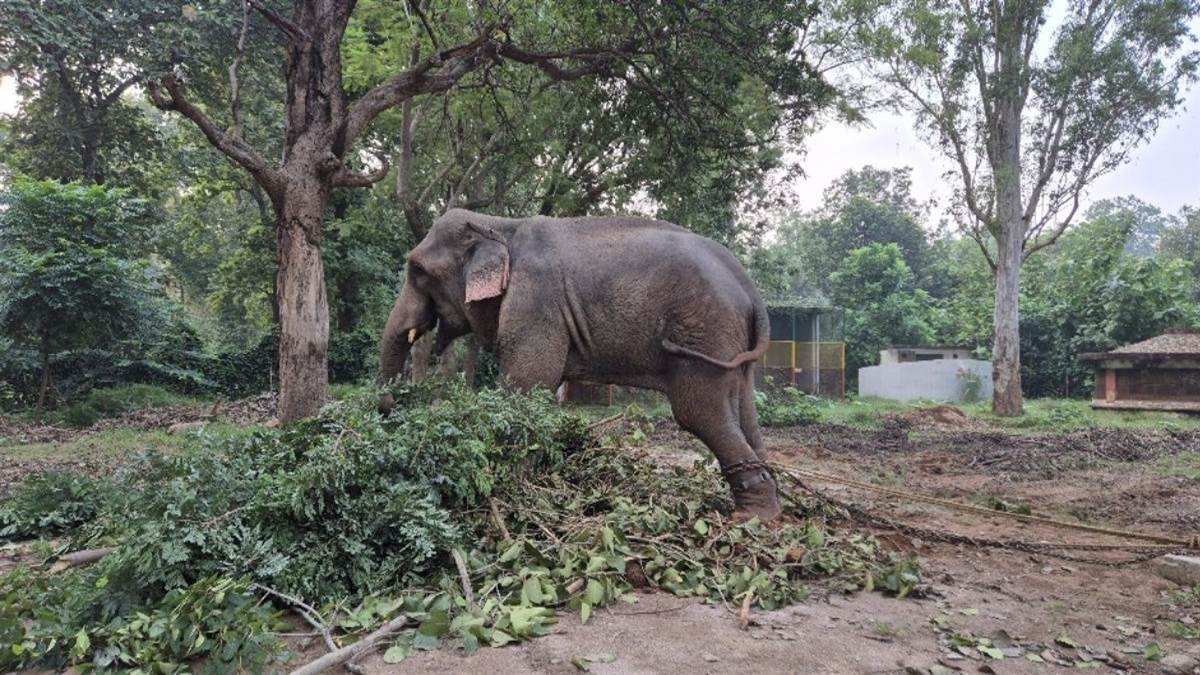 https://www.jagranimages.com/images/newimg/05092025/05_09_2025-gangaram_24036230.jpg
