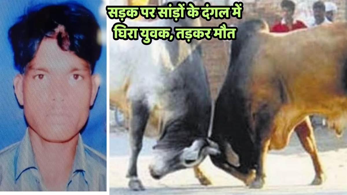 https://www.jagranimages.com/images/newimg/05092025/05_09_2025-kanpur_news_young_man_died_in_bullfight_24036450.jpg
