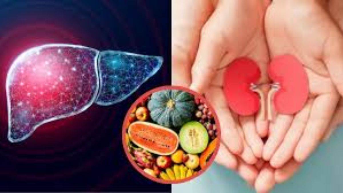 https://www.jagranimages.com/images/newimg/05092025/05_09_2025-kidney_liver_24037165.jpg