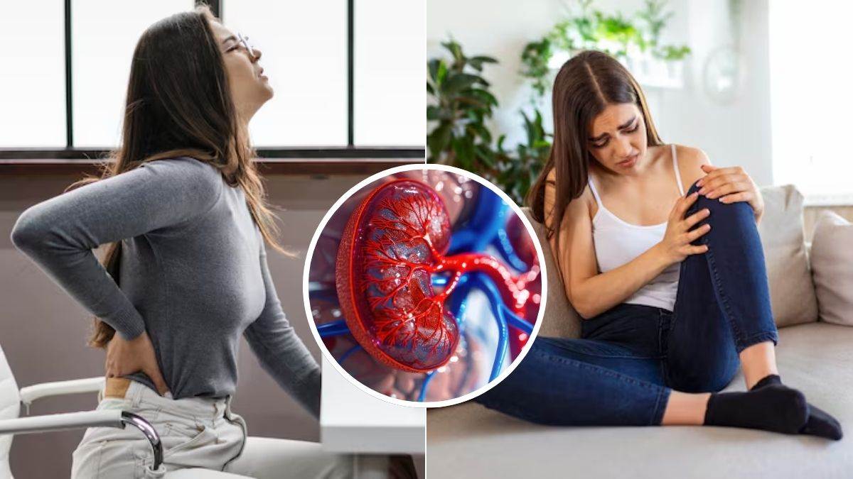 https://www.jagranimages.com/images/newimg/05092025/05_09_2025-kidney_stone_symptoms_24036599.jpg