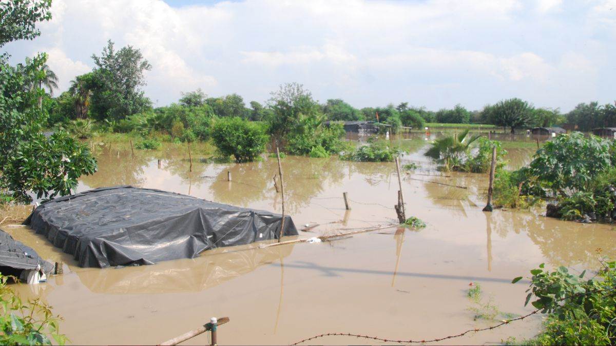 https://www.jagranimages.com/images/newimg/05092025/05_09_2025-noida_flood_24036259.jpg