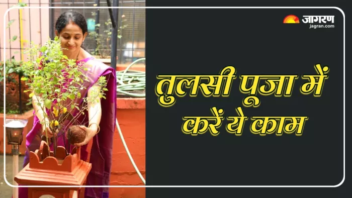 Tulsi Puja में क्या करना चाहिए? (Picture Credit: Freepik)