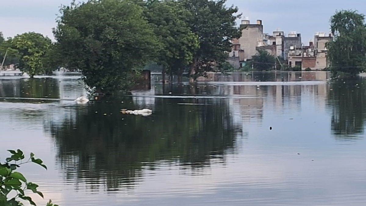 https://www.jagranimages.com/images/newimg/05092025/05_09_2025-yamuna_flood_24036303.jpg
