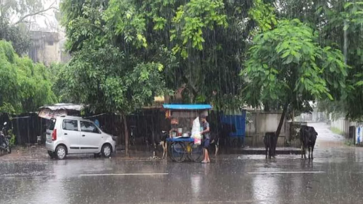 Gorakhpur Weather News Today: गोरखपुर में बुधवार को झमाझम बारिश हुई। - जागरण