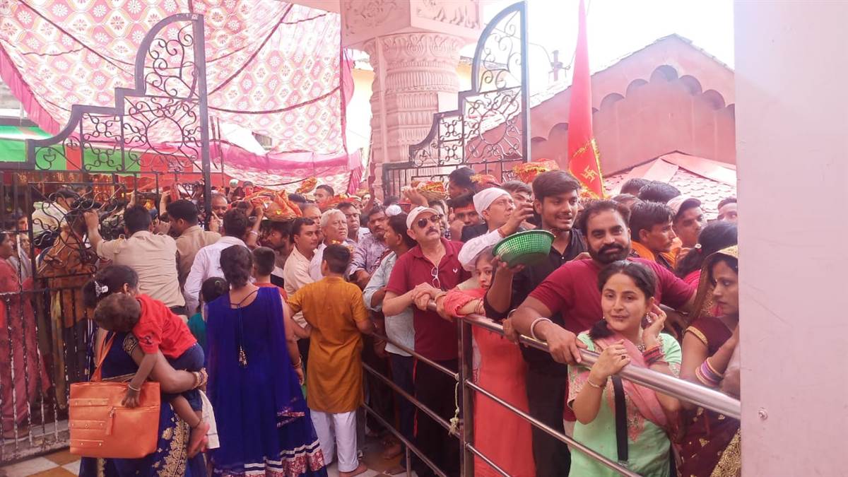 offering of 899259 on eighth navratri in jawalamukhi temple