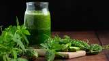 Diabetes Control Tips: खाली पेट करें इन ड्रिंक्स का सेवन, ब्लड शुगर कंट्रोल करने के लिए