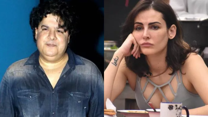 Mandana Karimi quits Bollywood After MeToo accused Sajid Khan entry in Salman Khan Bigg Boss 16, Instagram