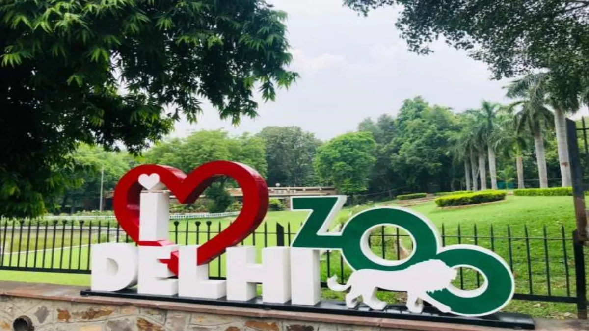 Delhi Zoo: दिल्ली के लोग, शैक्षणिक संस्थान और निजी कंपनियां अब चिड़ियाघर में जानवरों को गोद ले सकते हैं।