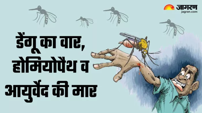 डेंगू के इलाज में होमियोपैथ और आयुर्वेद भी कारगर है।