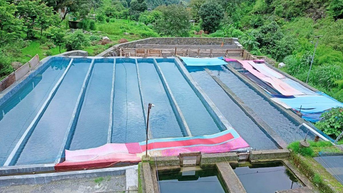 https://www.jagranimages.com/images/newimg/05102023/05_10_2023-_fish_farming_23547909.jpg