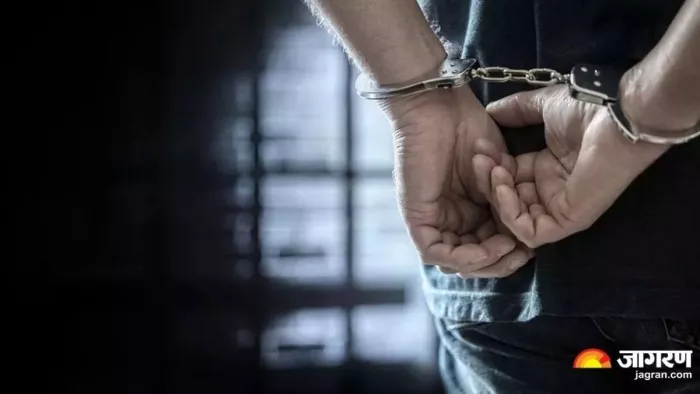 शारजाह से उड़ान की एक सीट के पीछे की सीट में छिपाया गया सोना पाया गया था।
