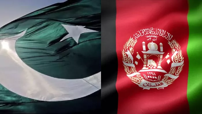 suicide bombing in pakistan: पाकिस्तान ने अफगानिस्तान पर लगाए आरोप