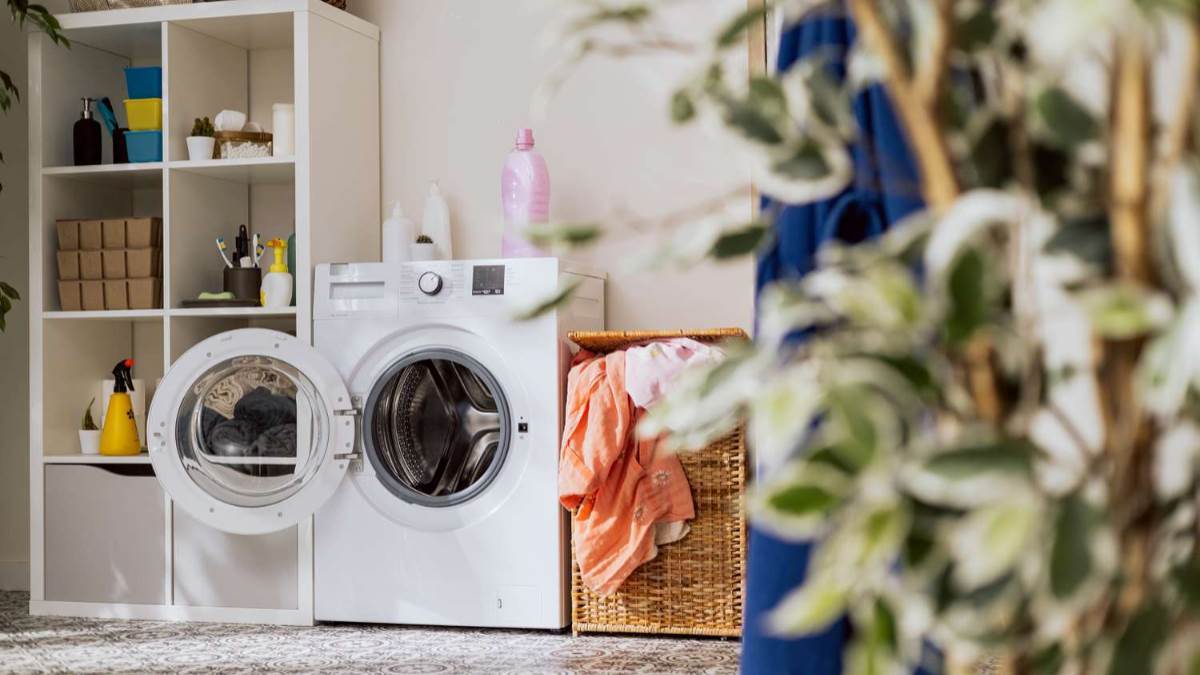 इन Front Load Washing Machines का बज रहा है भारत में डंका! कम कीमत के चर्चे हो रहे हर तरफ