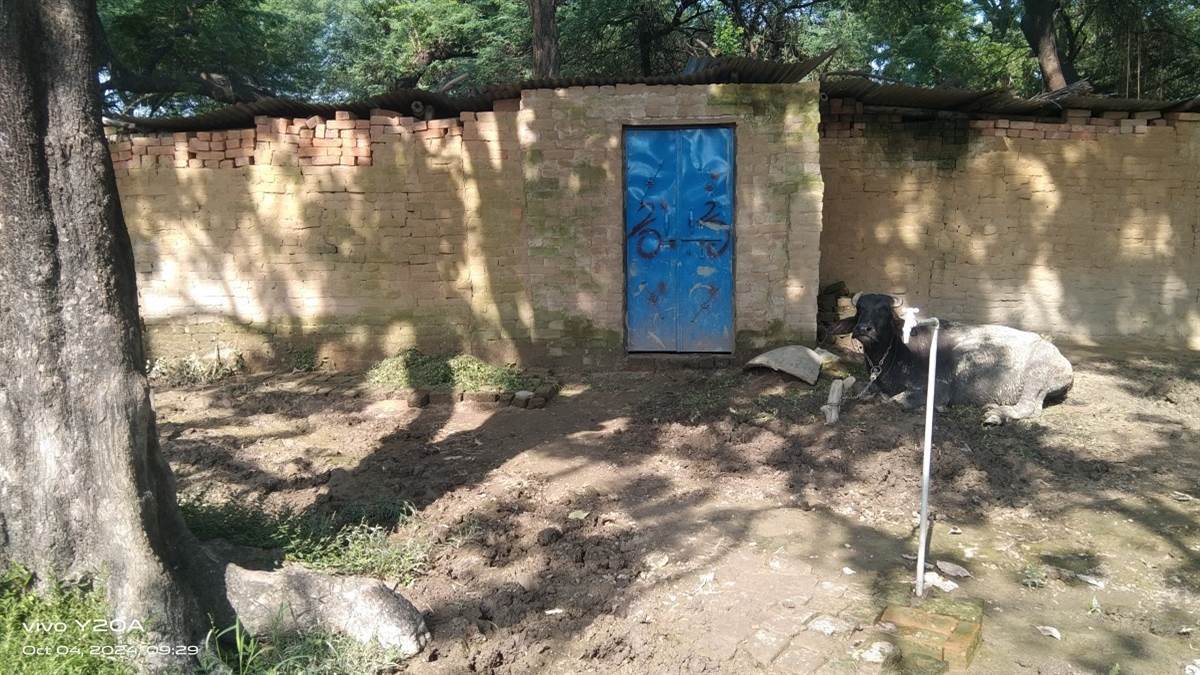 https://www.jagranimages.com/images/newimg/05102024/05_10_2024-kaushambi_23810082_3105314.jpg