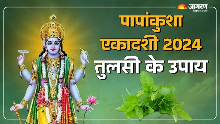 Papankusha Ekadashi 2024 पापांकुशा एकादशी पर जरूर करें तुलसी से जुड़े ये काम।