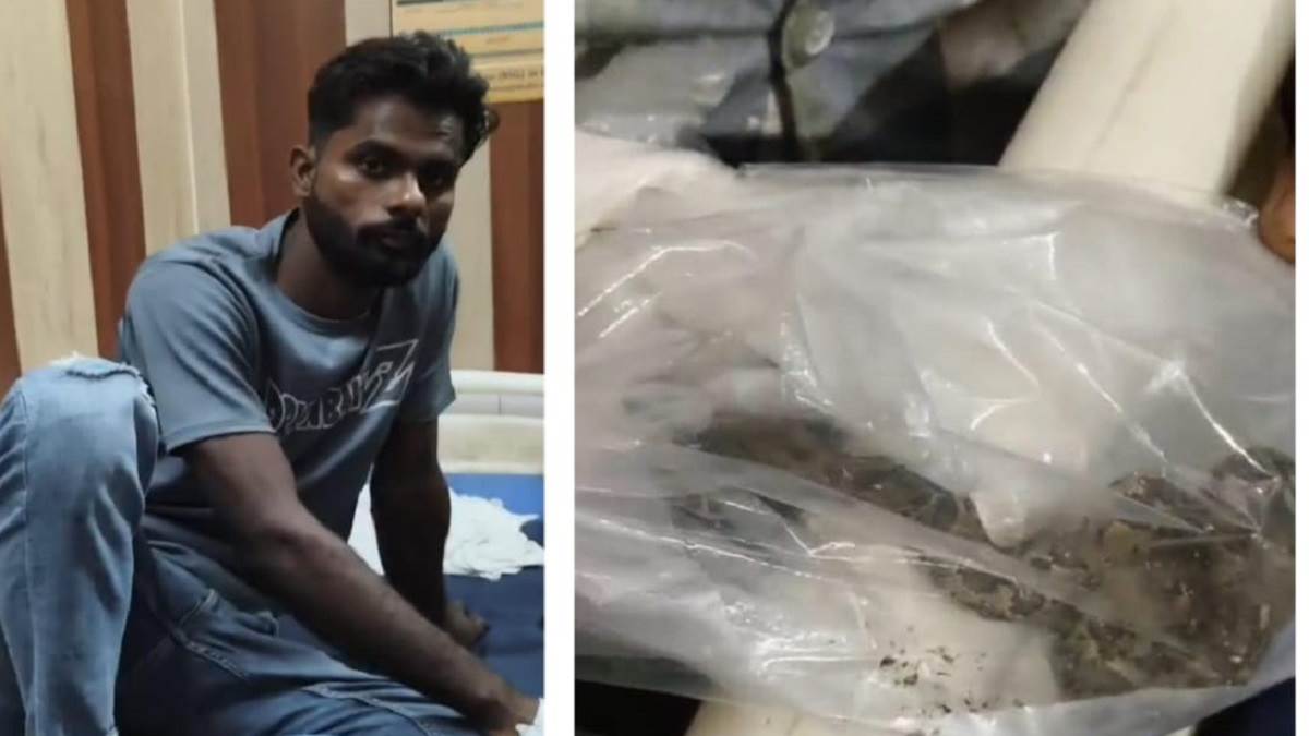 pratapgarh young man reached hospital with snake after its bite