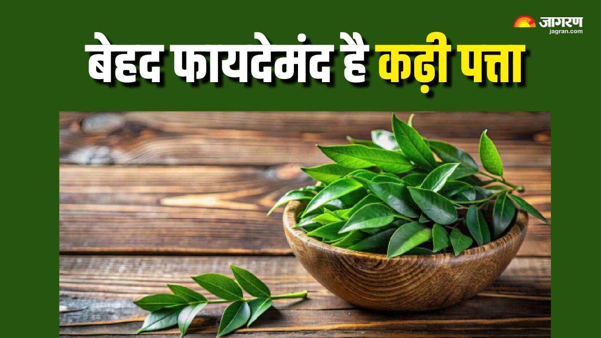 6 benefits of chewing 8 to 10 curry leaves daily on empty stomach check details here