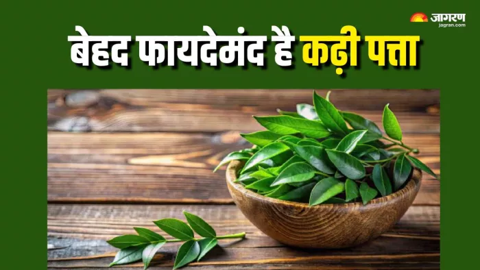 रोज कढ़ी पत्ते खाने के फायदे (Picture Courtesy: Freepik)