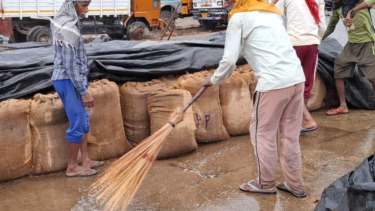 rain accompanied by strong winds lashed several districts of punjab leaving paddy crops soaked in the markets an orange alert for two days of heavy rain