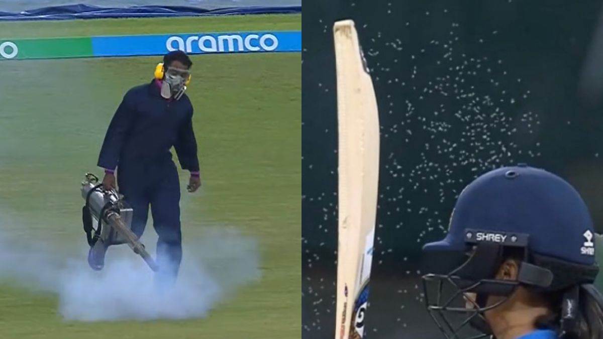 ind w vs pak w match halted due to mosquitoes bug spray icc women world cup