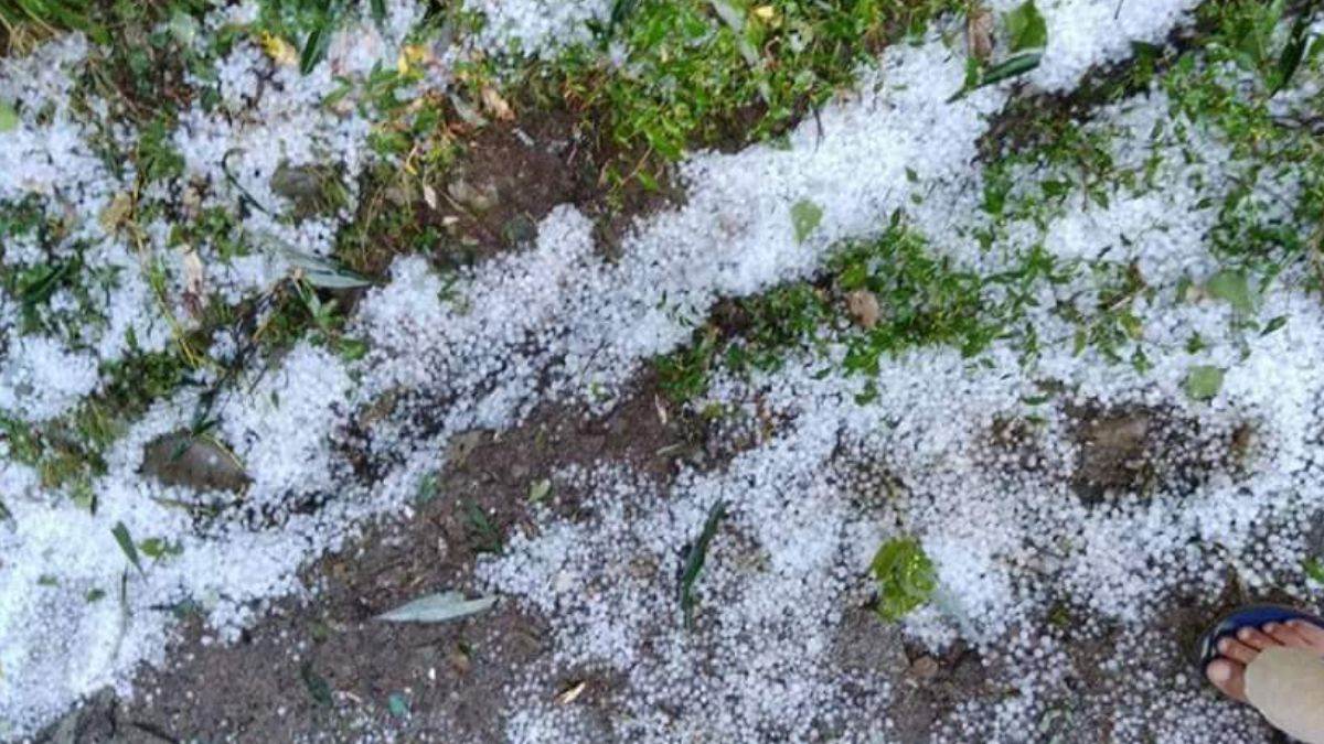 jammu minister reviews hailstorm damage assures support to farmers