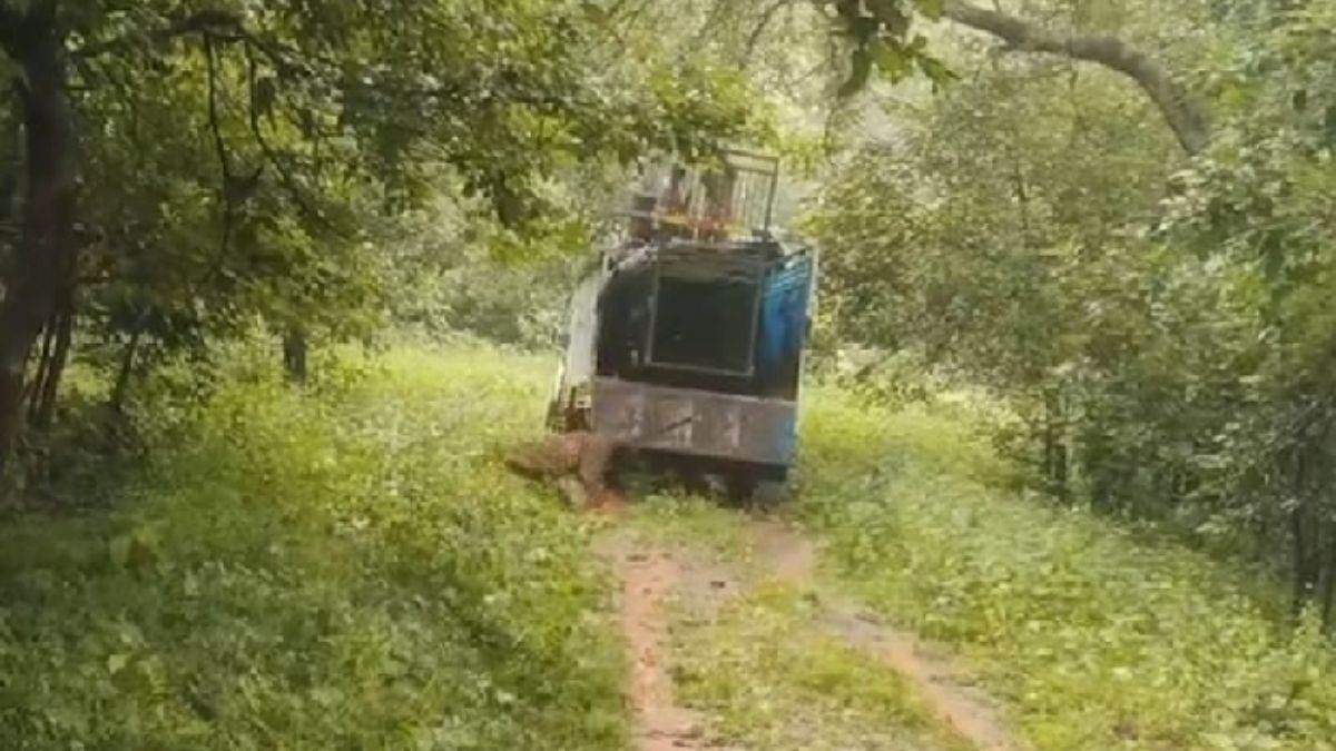 chitrakoot rescued leopard relocated to ranipur tiger reserve