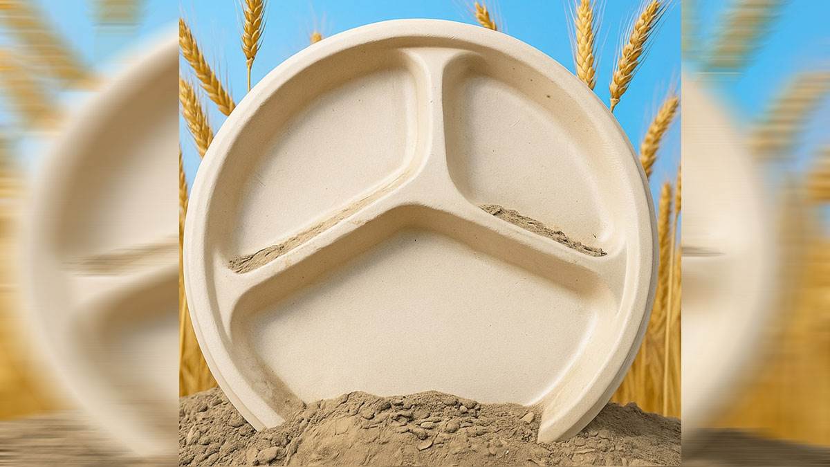 iit roorkee develops eco friendly tableware from wheat straw