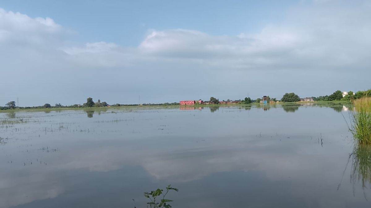 kav river flooding crop damage and farmer distress