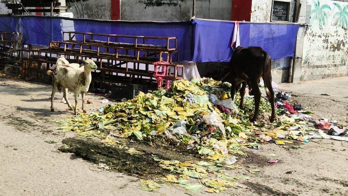 bhabua nagar parishad poor sanitation and development issues