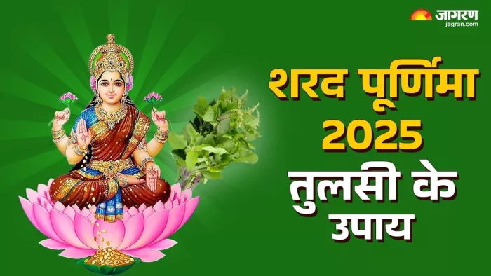 Sharad Purnima 2025: तुलसी के इन उपायों से चमकेगी किस्मत