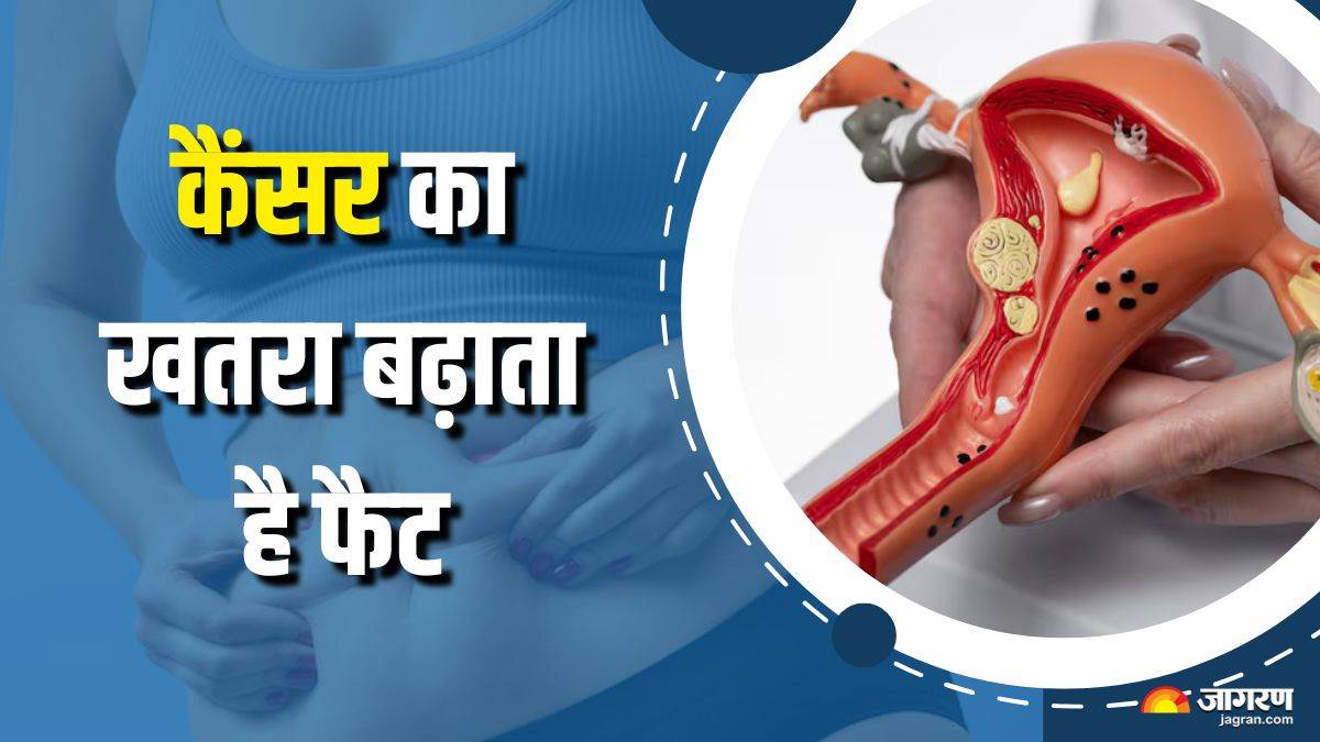 visceral fat can increase the risk of endometrial cancer in women check details here