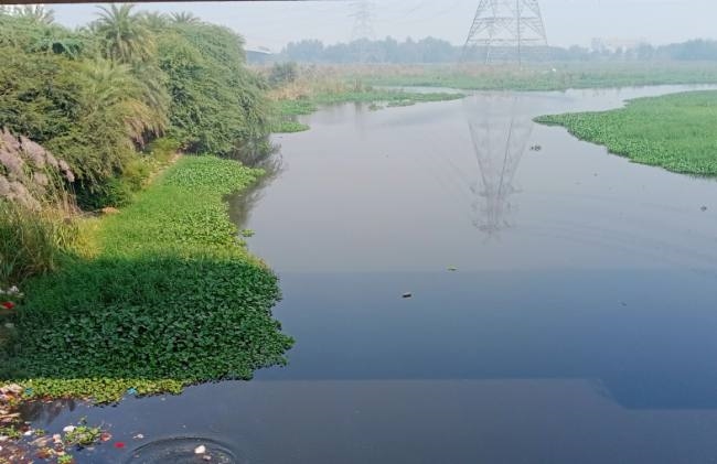 News Article Hero Image