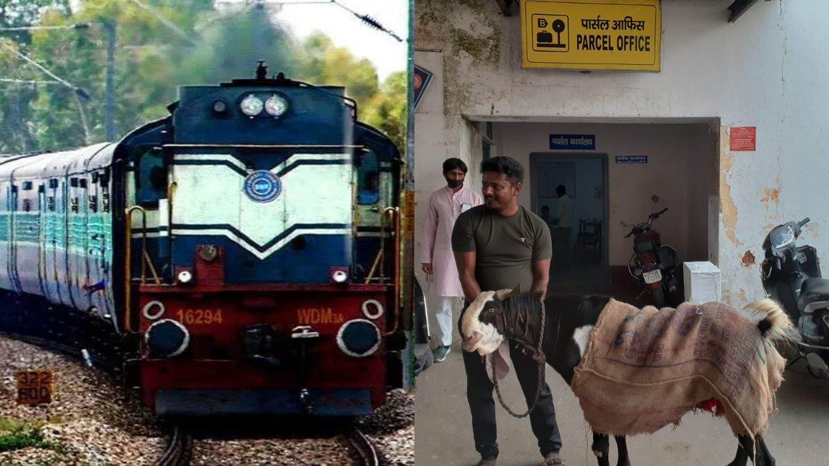 News Article Hero Image