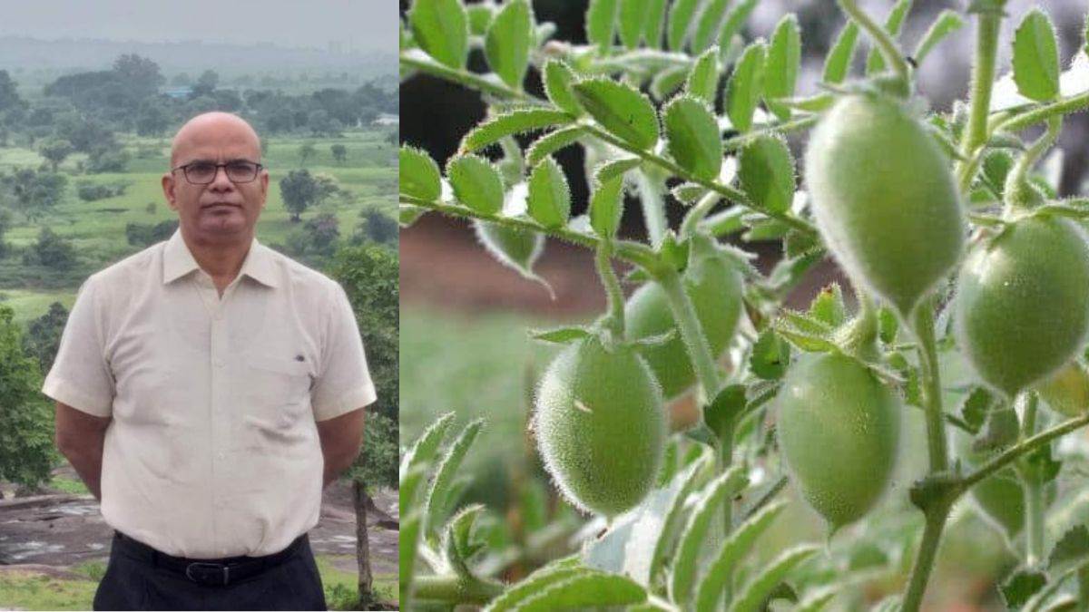 News Article Hero Image