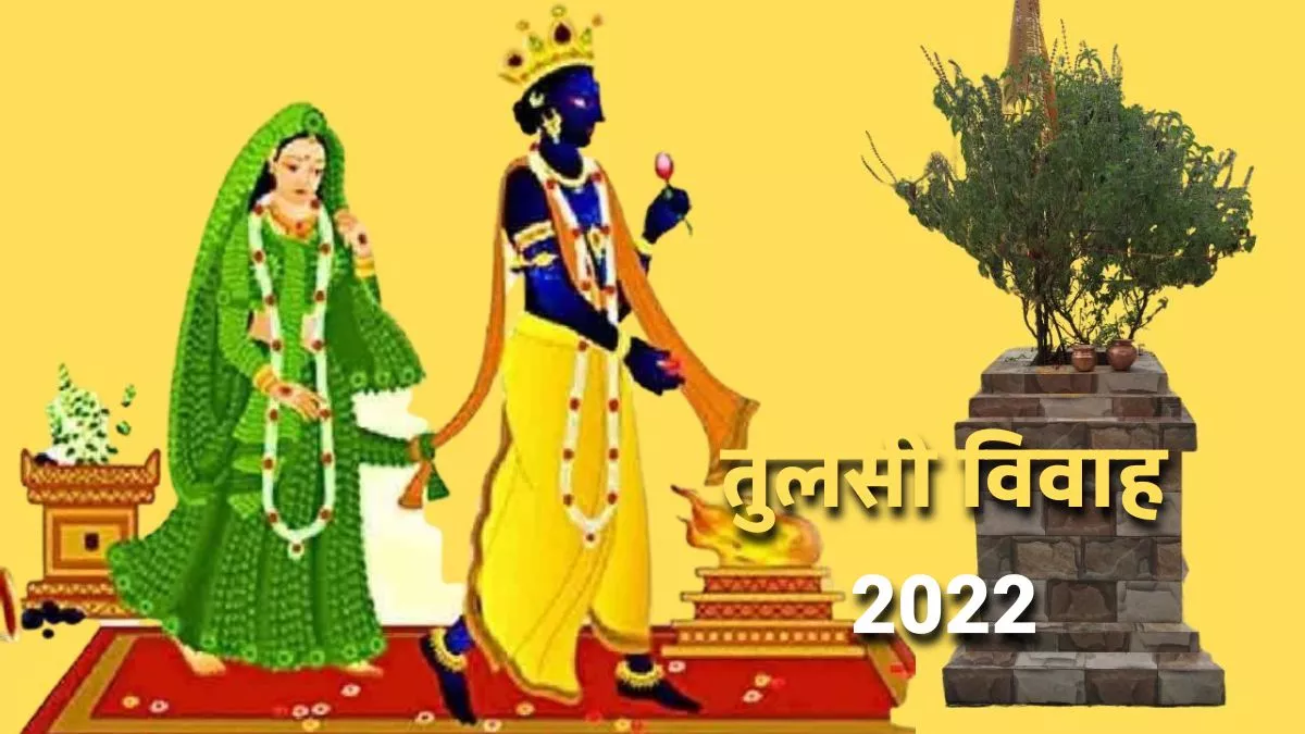Tulsi Vivah 2022 तुलसी विवाह के विशेष अवसर ...