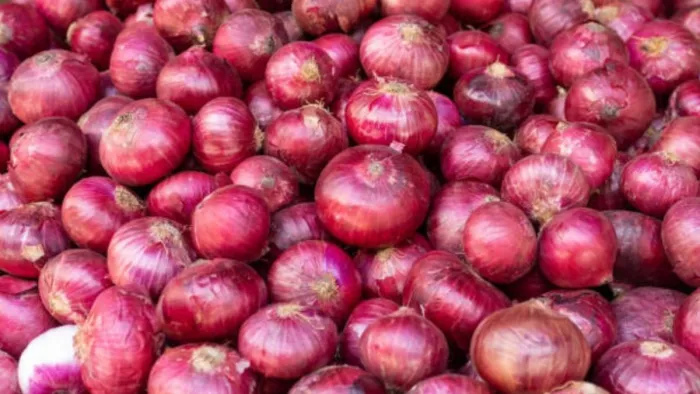 प्याज की बढ़ती कीमत को लेकर आवंटन विभाग की ओर से छत्रबाजार में छापेमारी की।